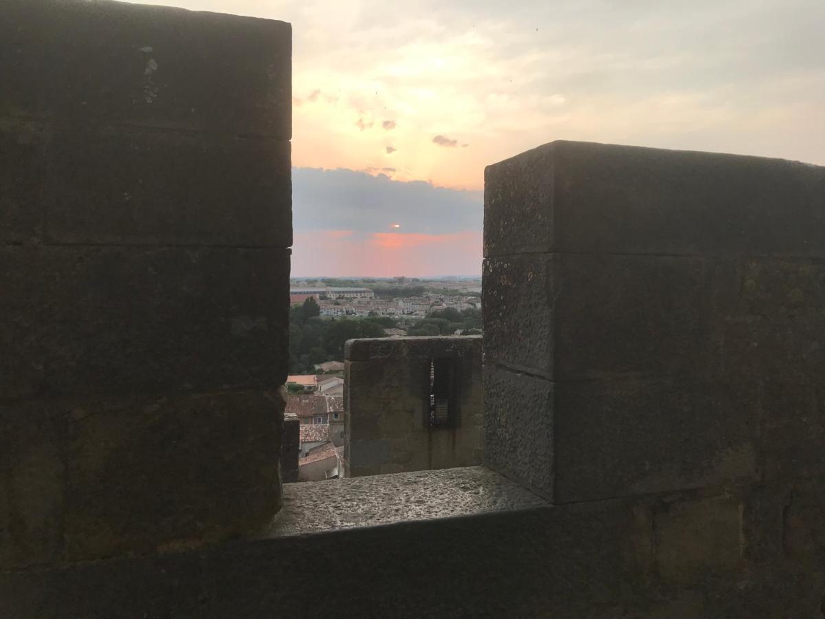 Le Clos Saint Michel Carcassonne Dış mekan fotoğraf