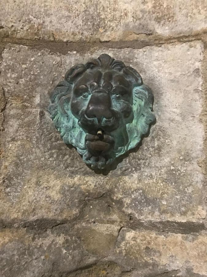 Le Clos Saint Michel Carcassonne Dış mekan fotoğraf