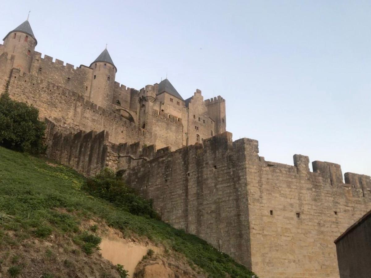 Le Clos Saint Michel Carcassonne Dış mekan fotoğraf