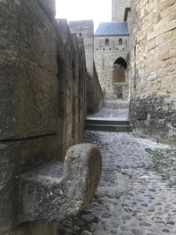 Le Clos Saint Michel Carcassonne Dış mekan fotoğraf